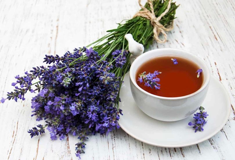 چای اسطوخودوس-خواص چای-Lavender-tea